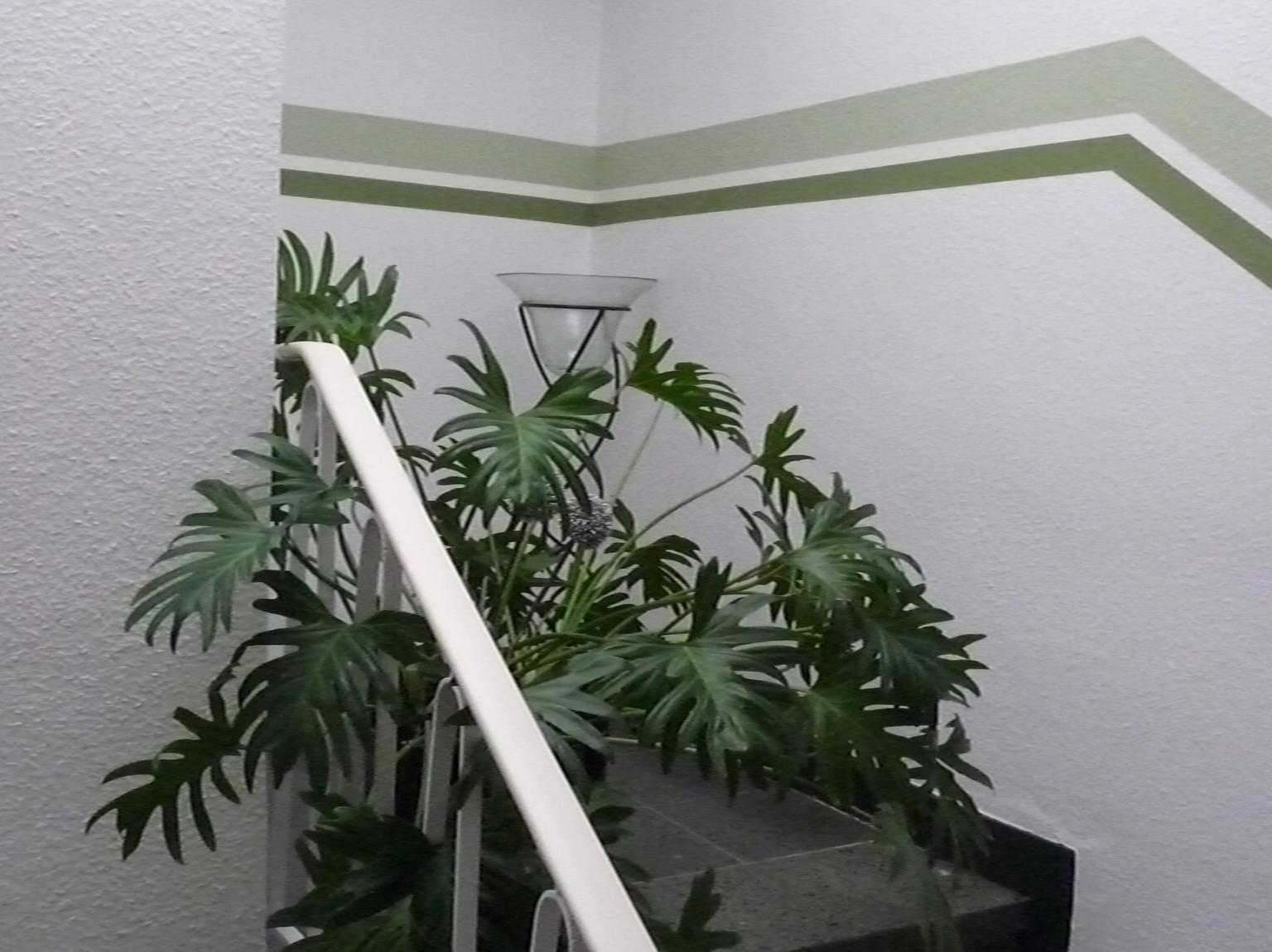 Hotel Sechzehn 레버쿠젠 외부 사진